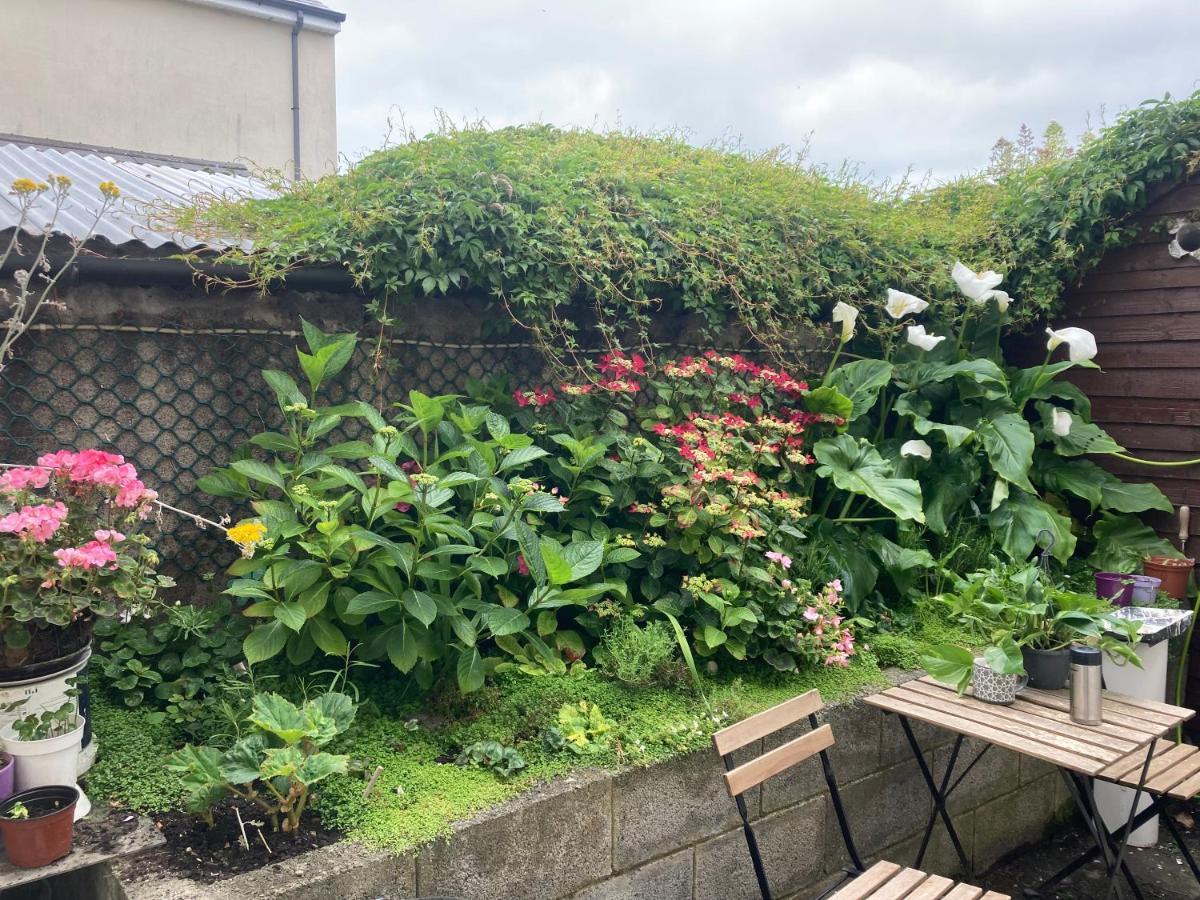 Mulgrave Lodge Dún Laoghaire Zewnętrze zdjęcie