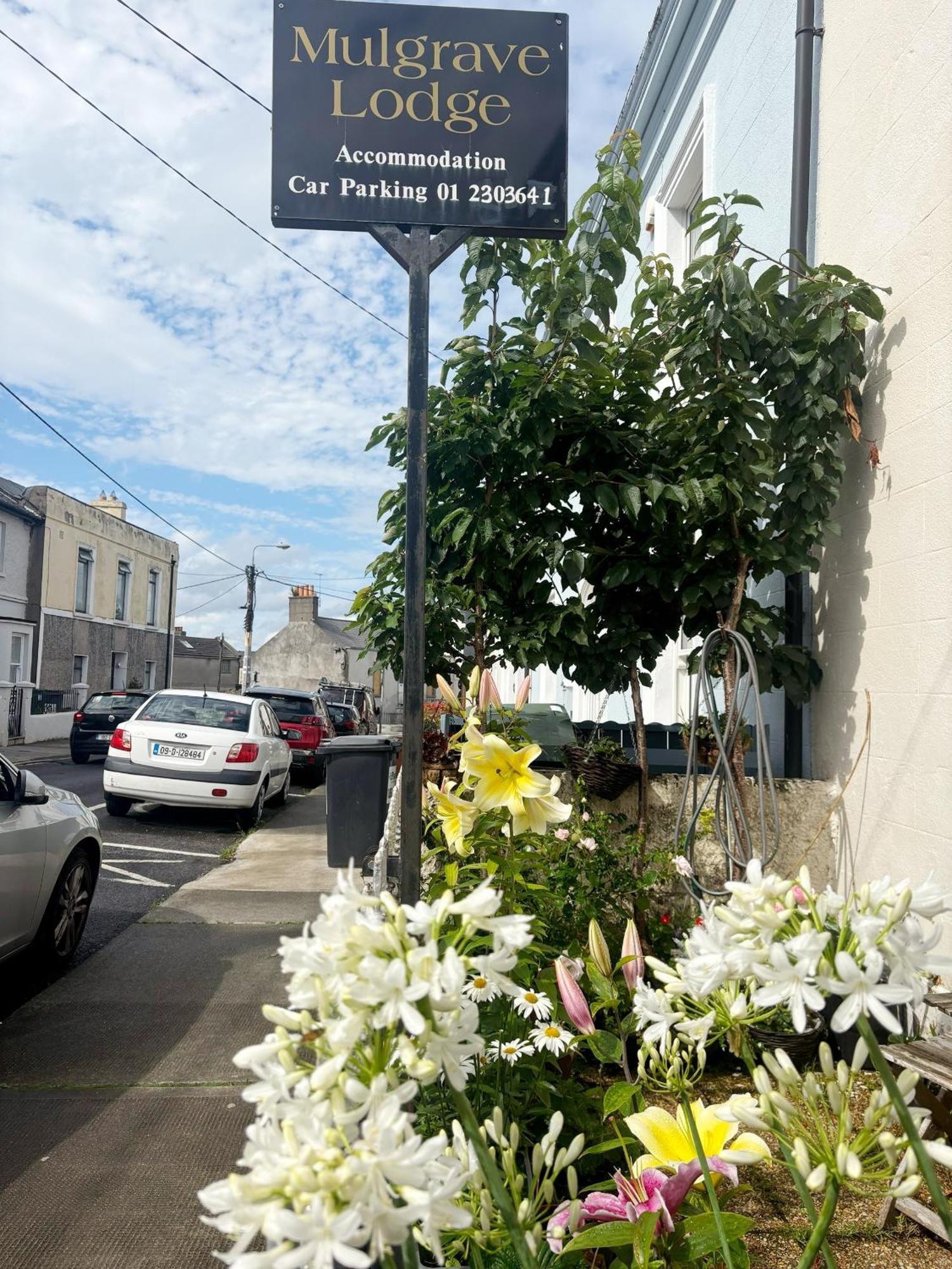 Mulgrave Lodge Dún Laoghaire Zewnętrze zdjęcie
